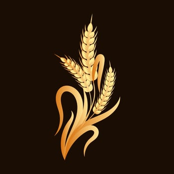 Spikelets of wheat, rye, barley, golden design. Decor element, logo, icon, vector