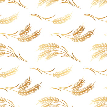 Seamless pattern, spikelets of wheat on a white background. Background, print, textile, vector