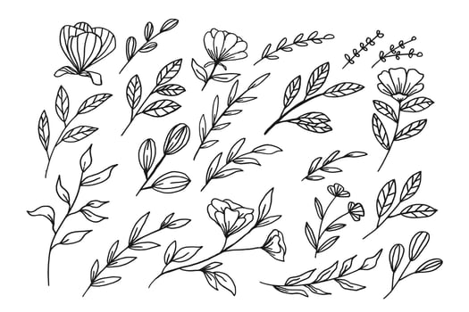 A collection of hand drawn leaves and flower decorative floral element vector