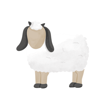 faceless sheep illustration png