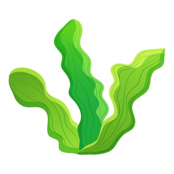 Algae whistling leaves. Aquarium plants vector illustration. underwater vegetation