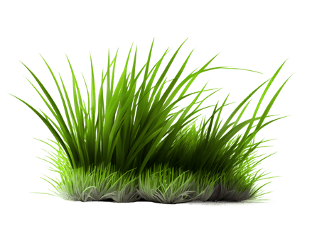 Green grass, created with png