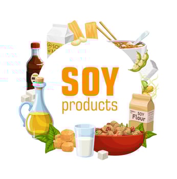 Soy bean food, soybean tofu, milk, oil, tempeh vector
