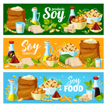 Soy products, soya bean food tofu, sauce and milk vector