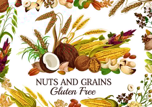 Kernels and seeds, cereal food, nuts and grains vector