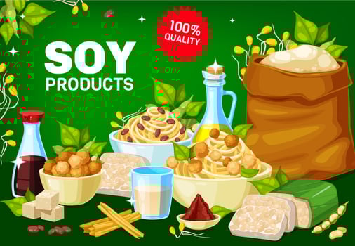 Soybean tofu, oil, milk and sauce. Soya vector