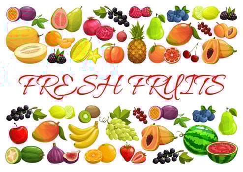 Exotic tropical and garden berries and fruits vector
