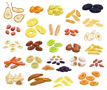 Dried fruits and candied berries vector icons set