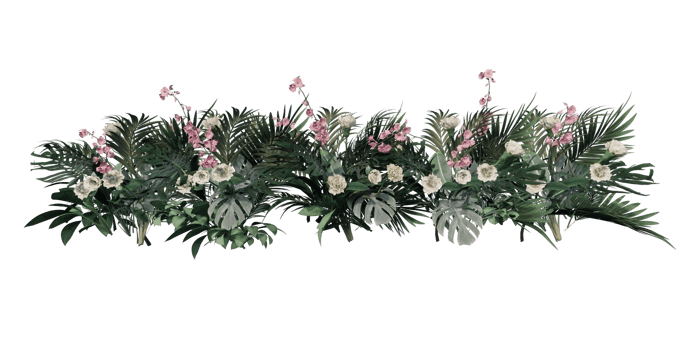 ornamental plants. garden tree 3D transparent background png