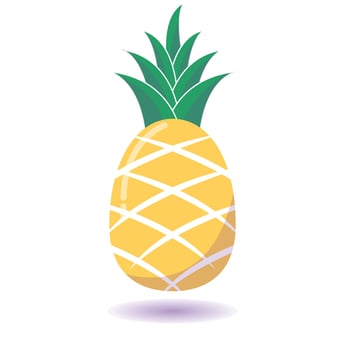 pinapple vector with shadow flat design