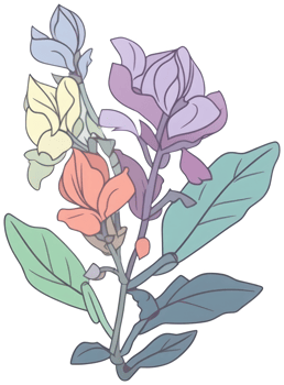 Flower sticker transparent illustration. . png