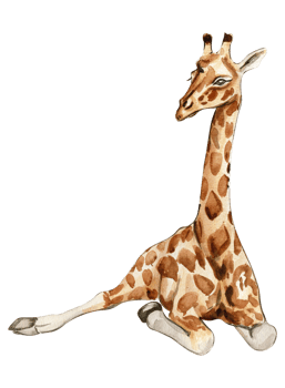 Watercolor giraffe illustration. png