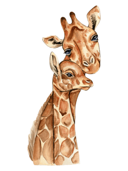 Watercolor giraffe illustration. png
