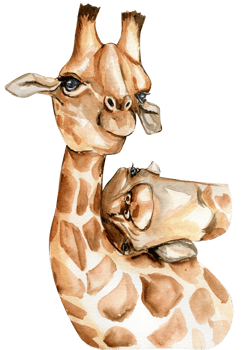 Watercolor giraffe illustration. png