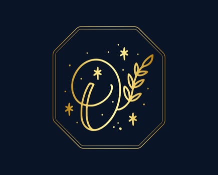 Beauty and fashion O letter logo vector