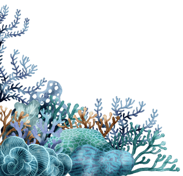 under ocean life element with watercolor painted , Coral reef png