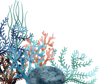 under ocean life element with watercolor painted , Coral reef png