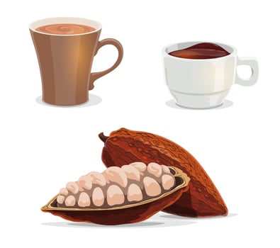 Cocoa beans, cacao, hot chocolate or coffee drinks vector