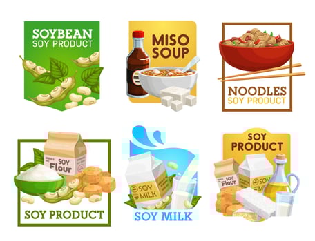 Soy food and soybean products vector icons set