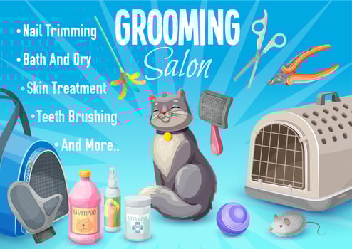Pet care, cat grooming salon poster with kitten vector