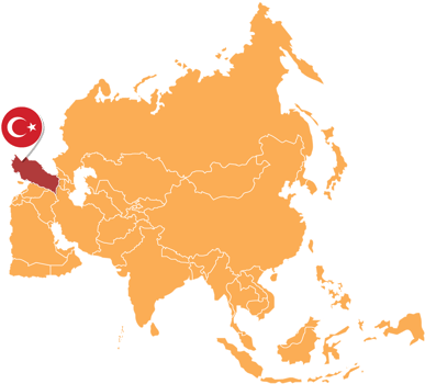 Turkey map in Asia, Icons showing Turkey location and flags. png