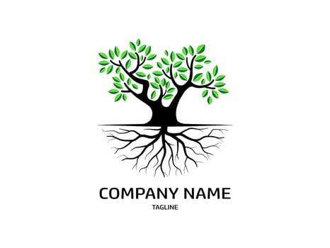 Trees and root with green leaves look beautiful and refreshing. Tree and roots LOGO style. vector