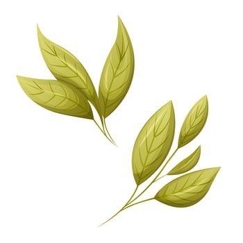 0505Twigs with green leaves, cartoon style, trendy vector illustration