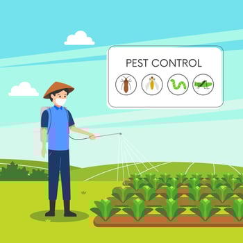 Farmer sprays pesticide or herbicide on agriculture plant. pest control vector