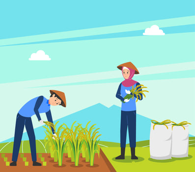 Two farmers are harvesting rice in the field, vector illustration