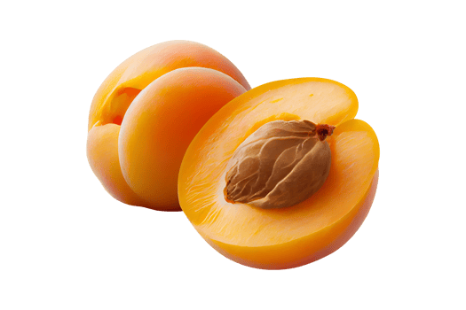 Fresh tasty apricot fruit with seed isolated on transparent background png