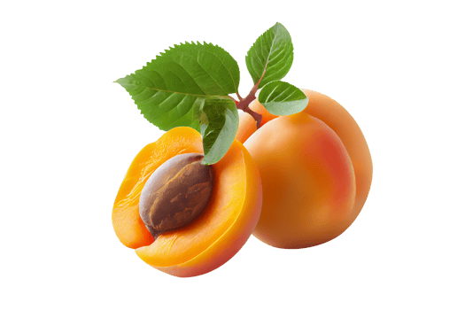 Fresh tasty apricot fruit with seed isolated on transparent background png