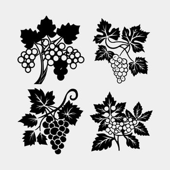 set of grapes with leaves vector