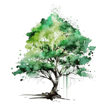 Watercolor green tree cutout png