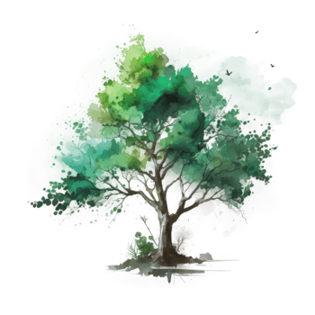 Watercolor green tree cutout png