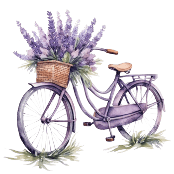 Cute watercolor bicycle with flowers. Illustration png