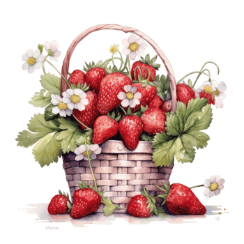 Watercolor strawberries in basket. Illustration png