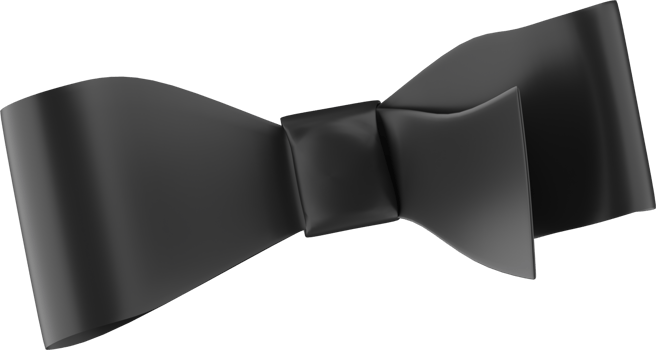 Satin ribbon black bow isolated. png