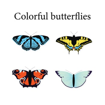 set of colourful butterflies vector