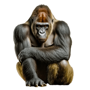 western gorilla illustration png