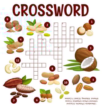 Cartoon nuts and beans crossword worksheet game vector