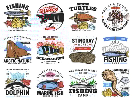 River and ocean fishes, sea animals icons set vector