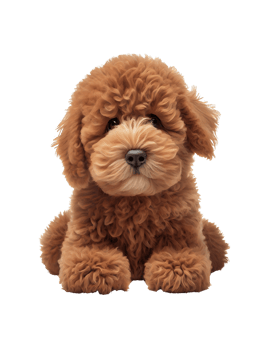 Small fluffy dog on transparent background, created with png