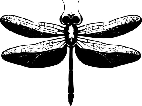 Dragonfly - Minimalist and Flat Logo - Vector illustration