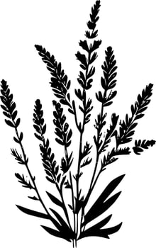 Lavender - Black and White Isolated Icon - Vector illustration