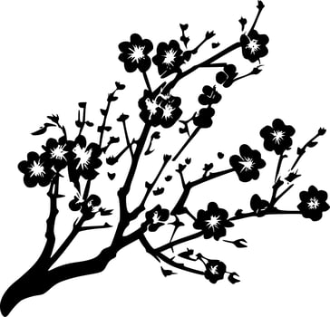 Cherry Blossom - Black and White Isolated Icon - Vector illustration