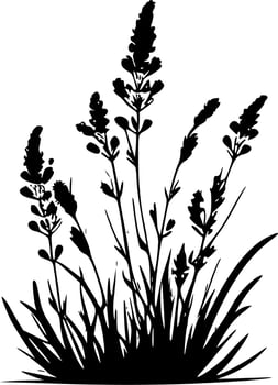 Lavender - Black and White Isolated Icon - Vector illustration