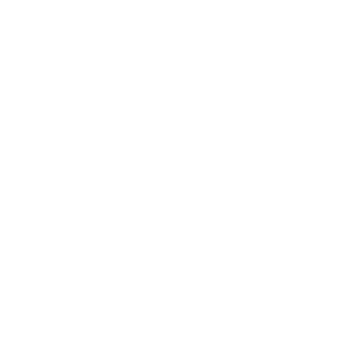 White snowflakes element. png