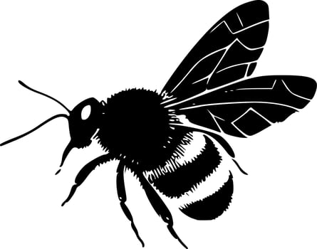 Bee - Black and White Isolated Icon - Vector illustration