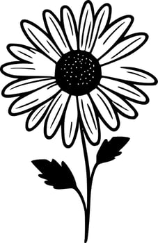 Daisy, Black and White Vector illustration