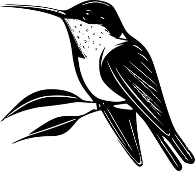 Hummingbird - Black and White Isolated Icon - Vector illustration
